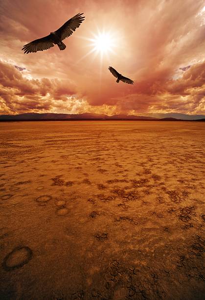 Desert and Vultures Desert and Vultures. Dry Lakebed Desert Scenery. lakebed stock pictures, royalty-free photos & images