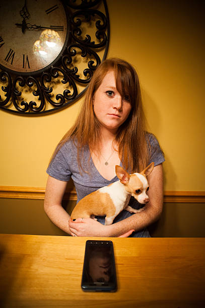 Red headed girl with chihuahua and cellphone stock photo