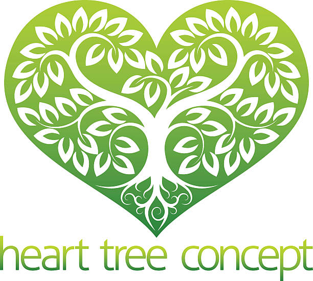 illustrazioni stock, clip art, cartoni animati e icone di tendenza di abstarct cuore albero - origins oak tree growth plant