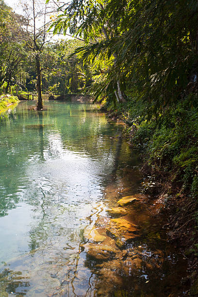 istock Lake with catfish in  Chiang Dao, Thailand 475796103