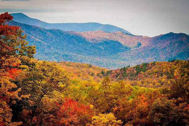 Smoky Mountains in Autumn Colors