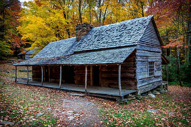 Old Log Cabin autumn leaves