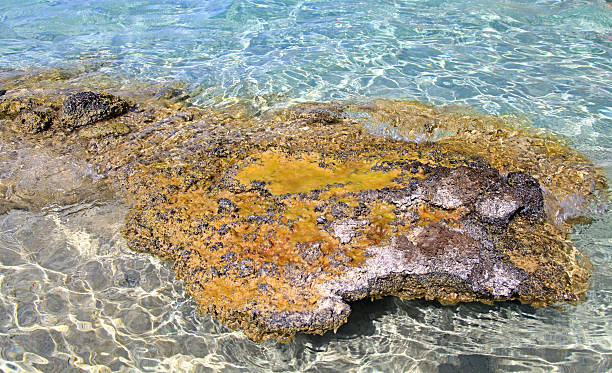 istock Shallow clear sea with pink sand beach at Elafonisi, Greece 475797933