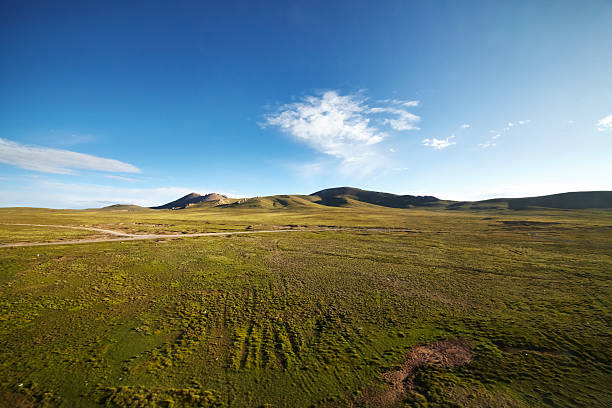 Green mountain landscape stock photo
