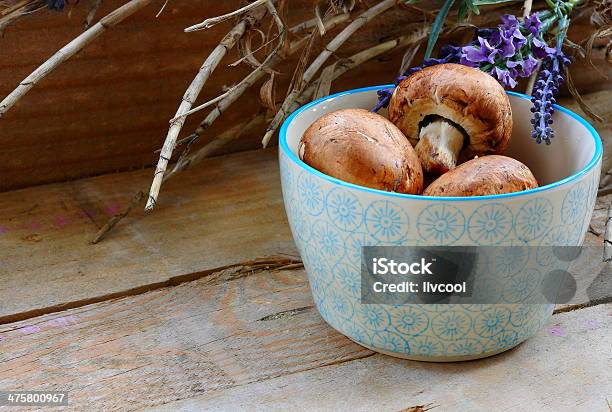 Raw Mushrooms Stock Photo - Download Image Now - Bouquet, Bowl, Brown