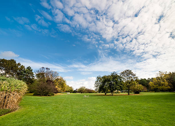istock Nice sunny day in the park in May 475801006