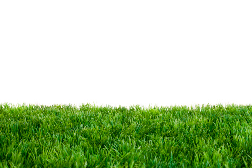 Artificial Turf in Front of White Background. Focused on Middle of Grass.