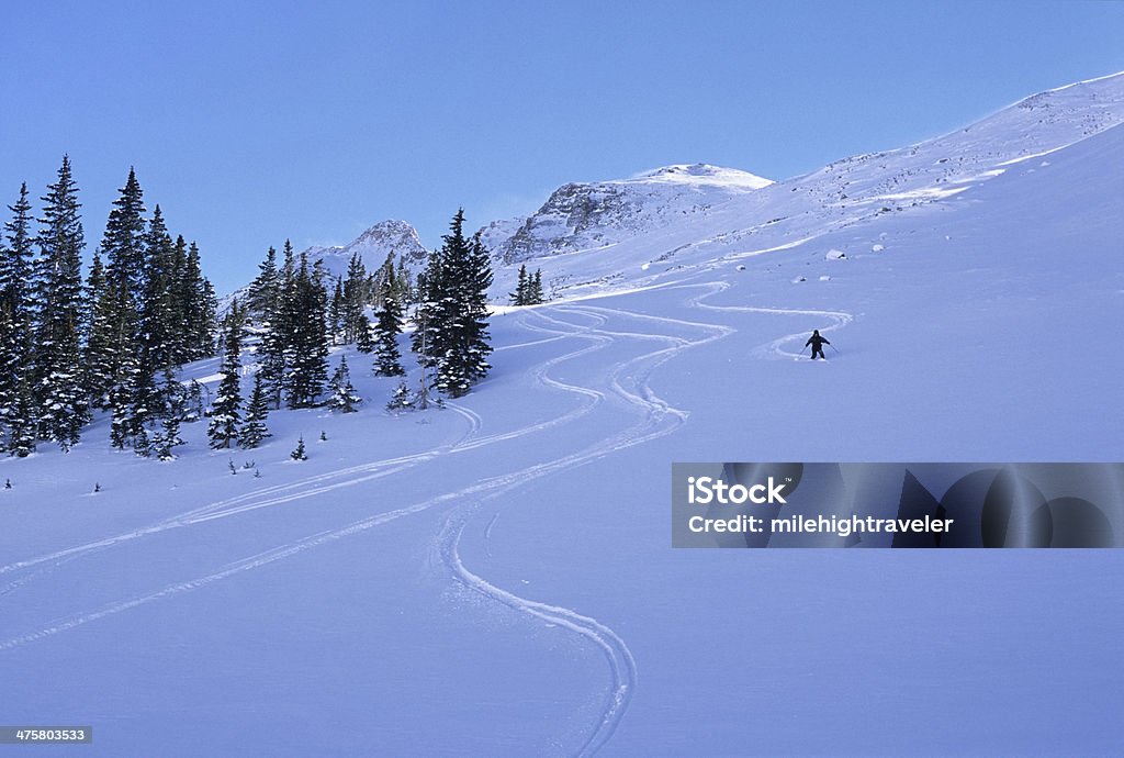 Esquiador carves se convierte en Colorado Elk Mountains - Foto de stock de Colorado libre de derechos