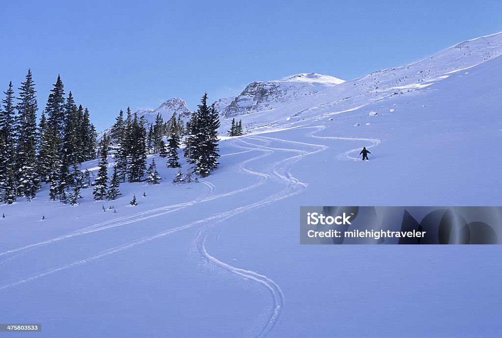 Narciarzem. carves włącza Colorado Elk Mountains - Zbiór zdjęć royalty-free (Narciarstwo przełajowe)