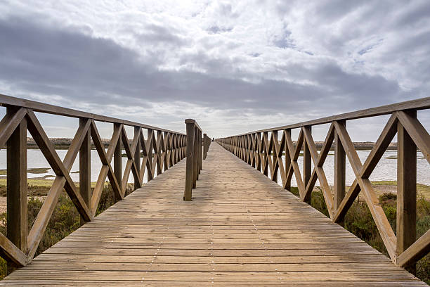 istock Footbridge heading to Quinta do Lago beach, in Algarve 475806596