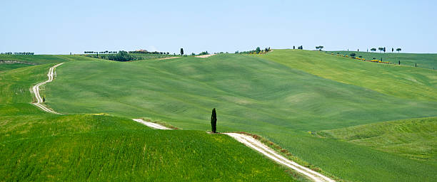 istock View over rural Tuscany, Italy 475822362