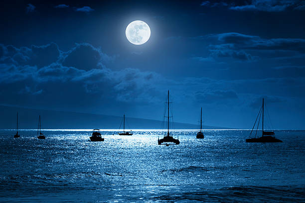 istock Dramatic Moonlit Ocean In Maui Hawaii 475822616