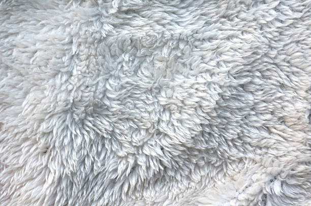 istock Wool background. Detail of sheep fur 475825871