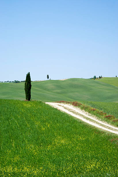 istock Rural landscape in Tuscany 475828116