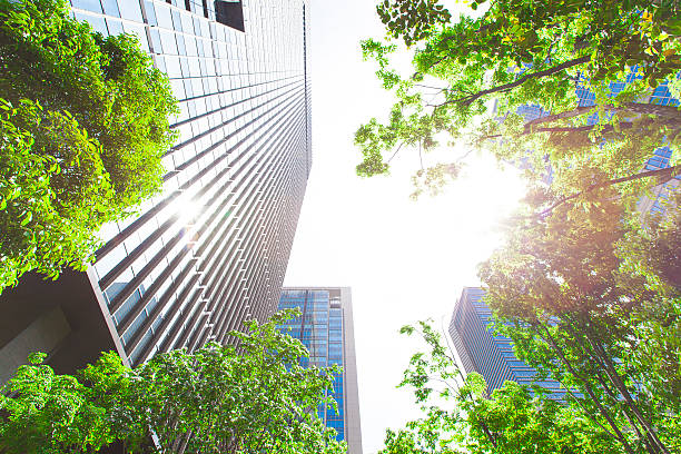 Business towers and Green leaves
