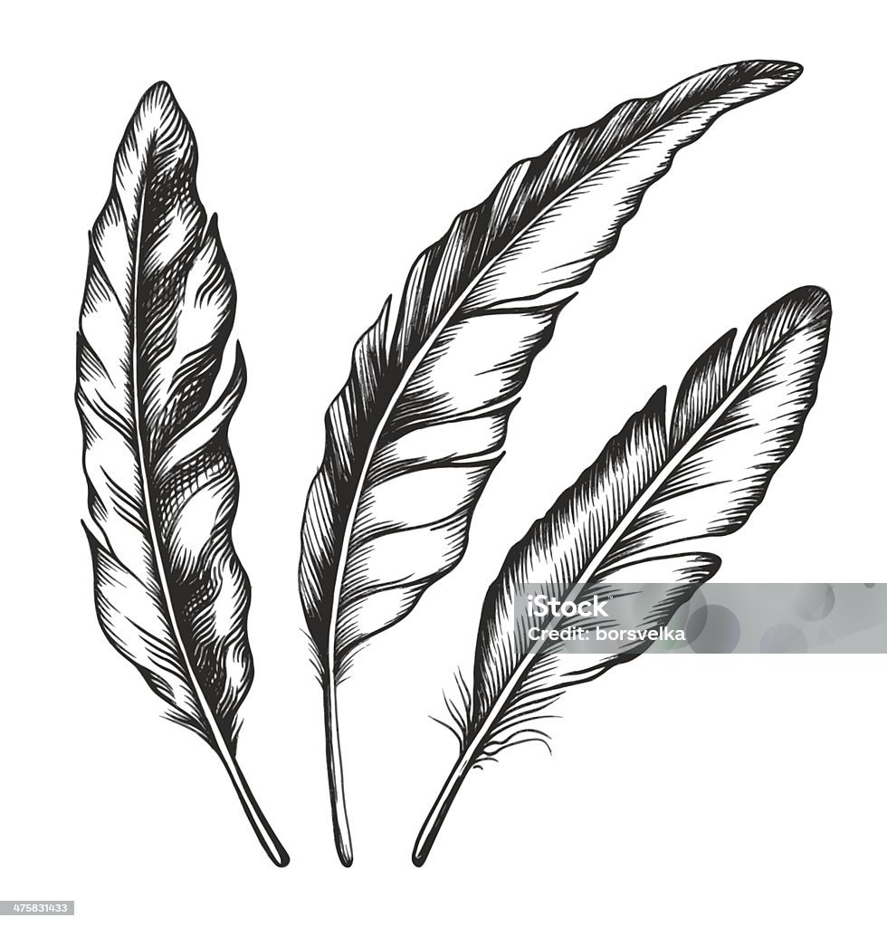Black feathers. Three objects. Three black feathers isolated on white background. Vector. EPS10 Feather stock vector