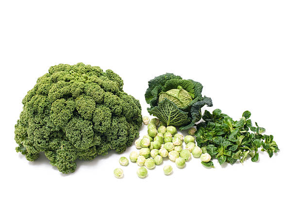 istock Food: Winter Green Vegetables, kale, brussels sprouts, field sal 475834221