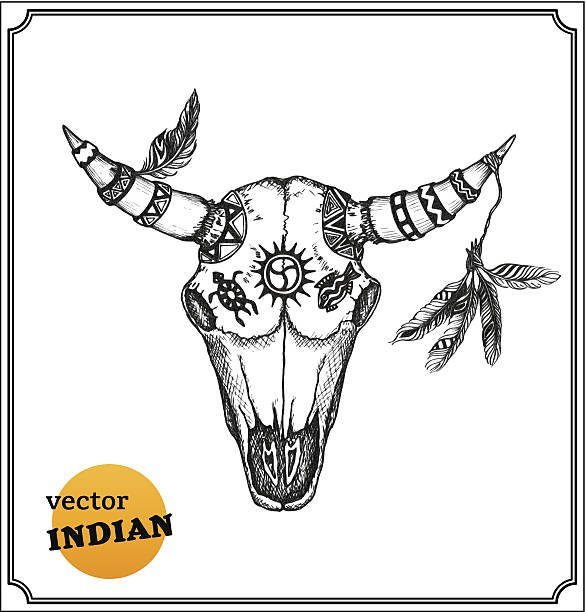 Buffalo skull with feathers for shamans witchcraft Buffalo skull with ornate horns for shaman witchcraft. Isolated on white background. Vector. EPS10 comanche indians stock illustrations