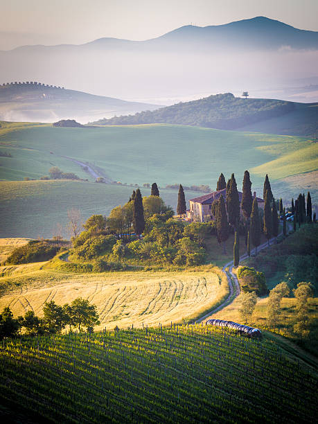 istock The Tuscan Landscape 475839564
