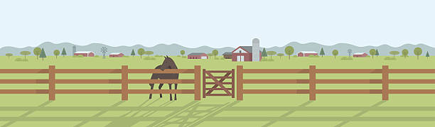 ilustrações, clipart, desenhos animados e ícones de paisagem rural panorâmica - farm fence