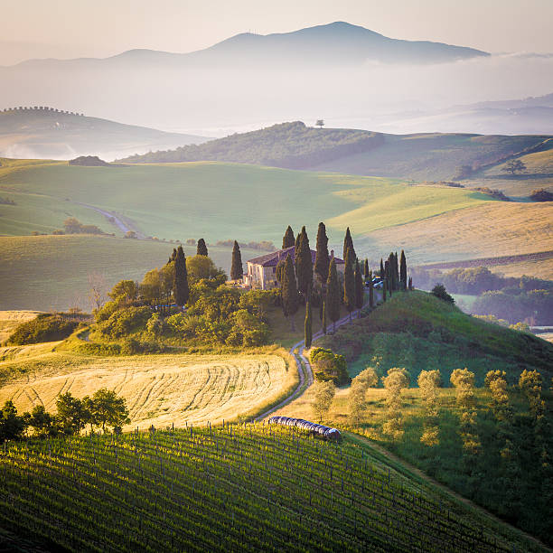 istock The Tuscan Landscape 475839844