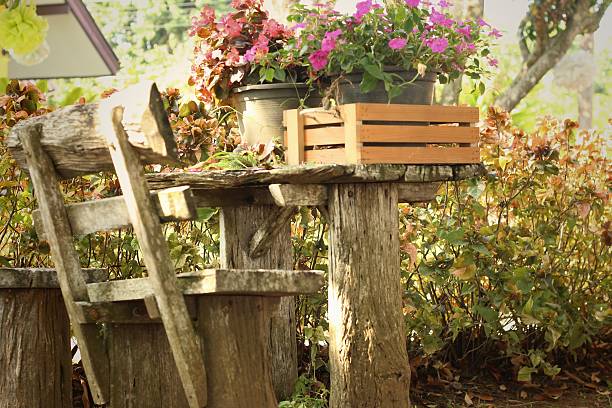 istock Bench chair in a garden at the park 475840698