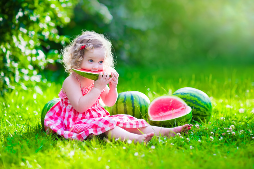Child eating watermelon in the garden. Kids eat fruit outdoors. Healthy snack for children. Little girl playing in the garden holding a slice of water melon. Kid gardening.