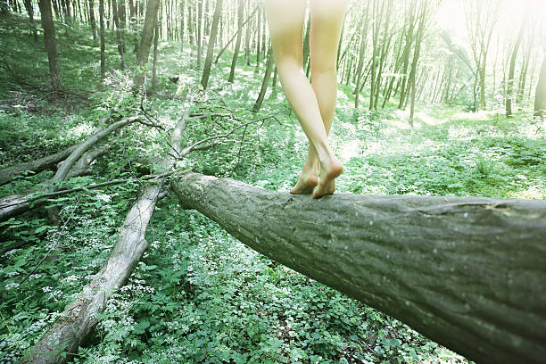 istock Woman walking on log in beech forest 475842652