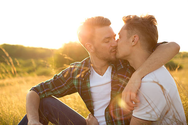 istock Young gay couple in a meadow. 475842834