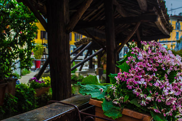 Flower vase in a calm place