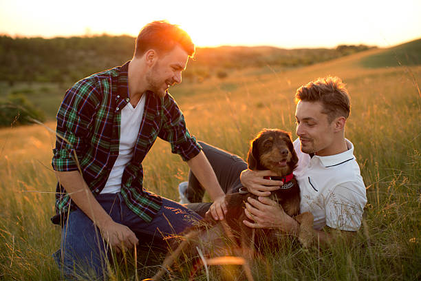 istock Young gay couple in a meadow. 475842888