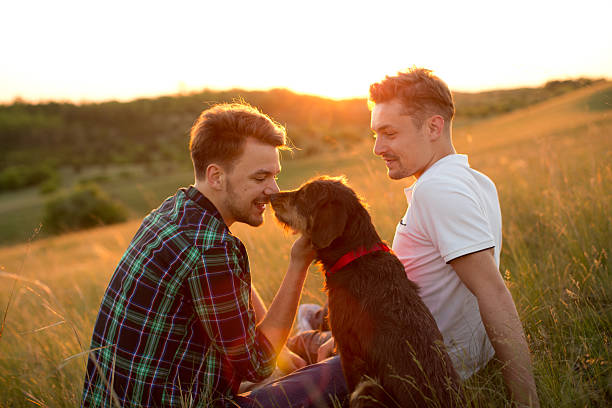istock Young gay couple in a meadow. 475842890
