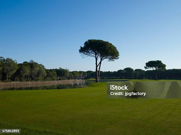 Golf Court Tree Stock Photo - Download Image Now - Built Structure, Environmental Conservation, Environmental Issues