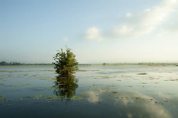Cloud formations over rice field faming in asia