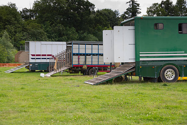 Horse boxes waiting at the equestrian event. stock photo