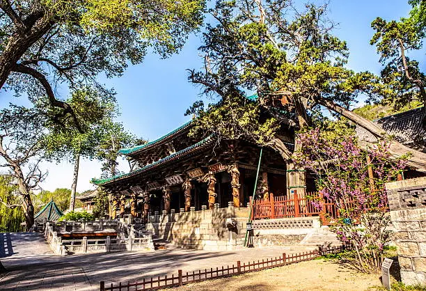 Photo of Hall of Saintly Mother and tall ancient cypress trees