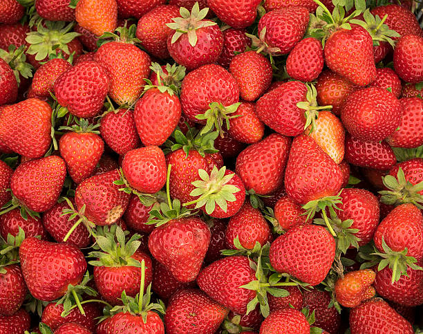 istock red strawberry, only strawberry 475854186