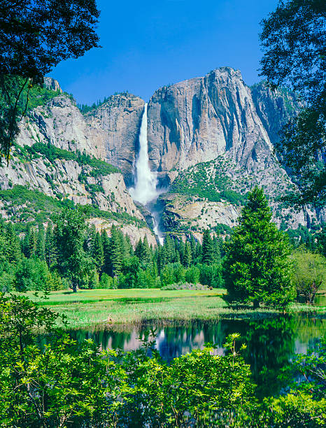 Spring meadow in Yosemite National Park, CA