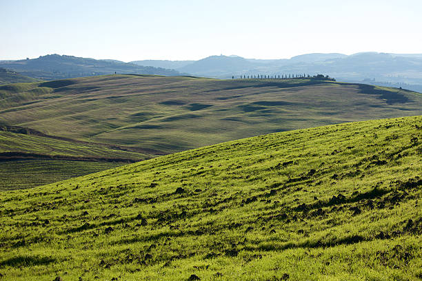 istock Tuscan Countryside, Italian landscape 475863964
