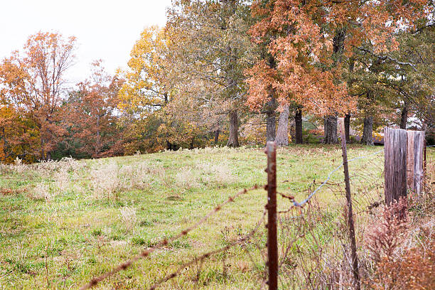 istock Autumn pasture fence 475864580