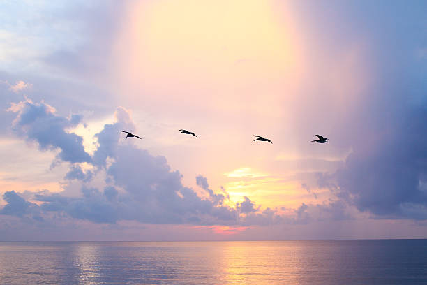 istock Birds Flying in the Air 475866390