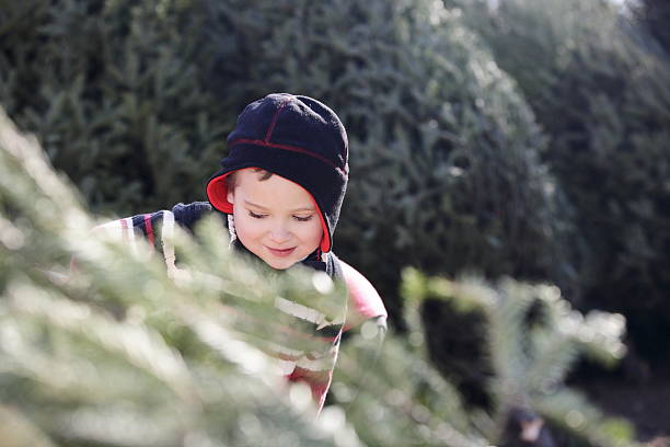 istock Young boy wearing a knit hat finds his Christmas tree 475868854