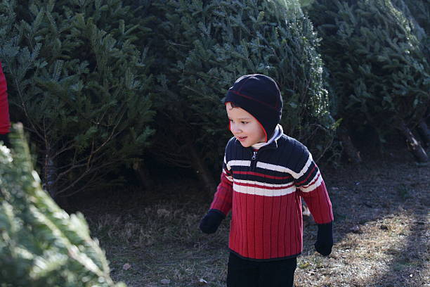 istock Young boy finds his Christmas tree 475871012