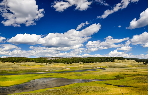 Landscape view of meadows and river in Yellowstone, Wyoming, USA