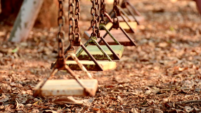 Empty Swing in a sunlight