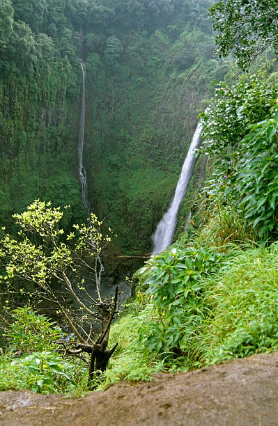 istock Landscape during monsoon season, Matheran, Maharashtra, India 475878799