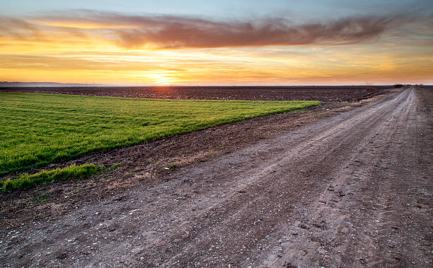 istock Rural road and green wheat field over sunset 475881703
