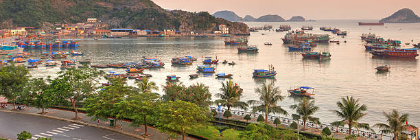 Cat Ba island colourful boats Traditional blue wooden fishing boats in the ocean, Cat Ba island, Halong Bay, Vietnam. Panoramic horizontal cover layout haiphong province photos stock pictures, royalty-free photos & images