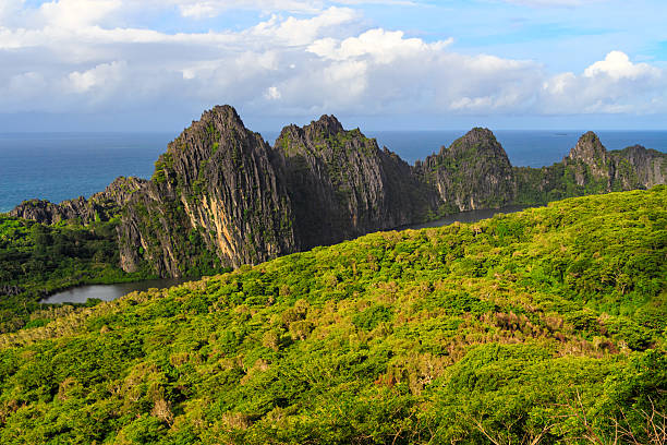 Landscape with Linderalique Rocks at Hienghene Bay New Caledonia Photo of a picturesque landscape with the Linderalique Rocks and green forest at Hienghene Bay in North Province, Grande Terre Island, New Caledonia. new caledonia stock pictures, royalty-free photos & images