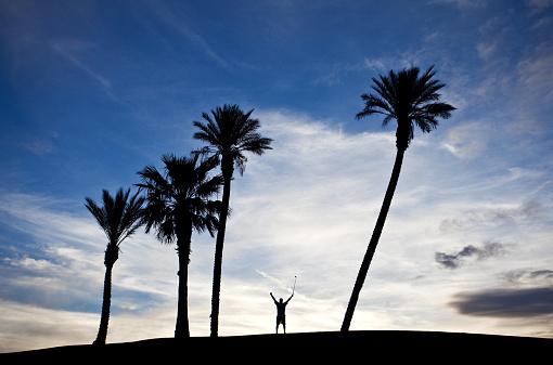 A silhouette of a happy golfer raising his arms on a tropical golf course. Golfer is small and completely unrecognizable in the image. Image location is American Southwest. 